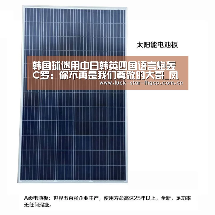韩国球迷用中日韩英四国语言炮轰C罗:你不再是我们尊敬的大哥_凤凰彩票下载(图2) 凤凰彩票下载