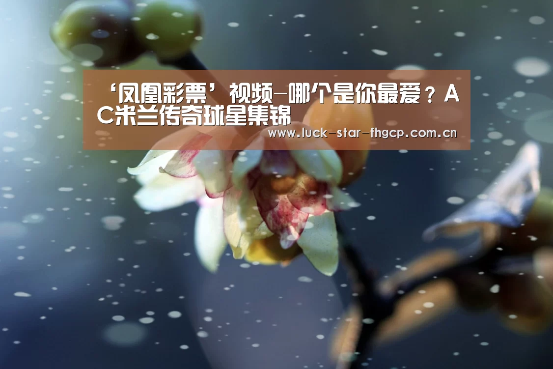 凤凰彩票